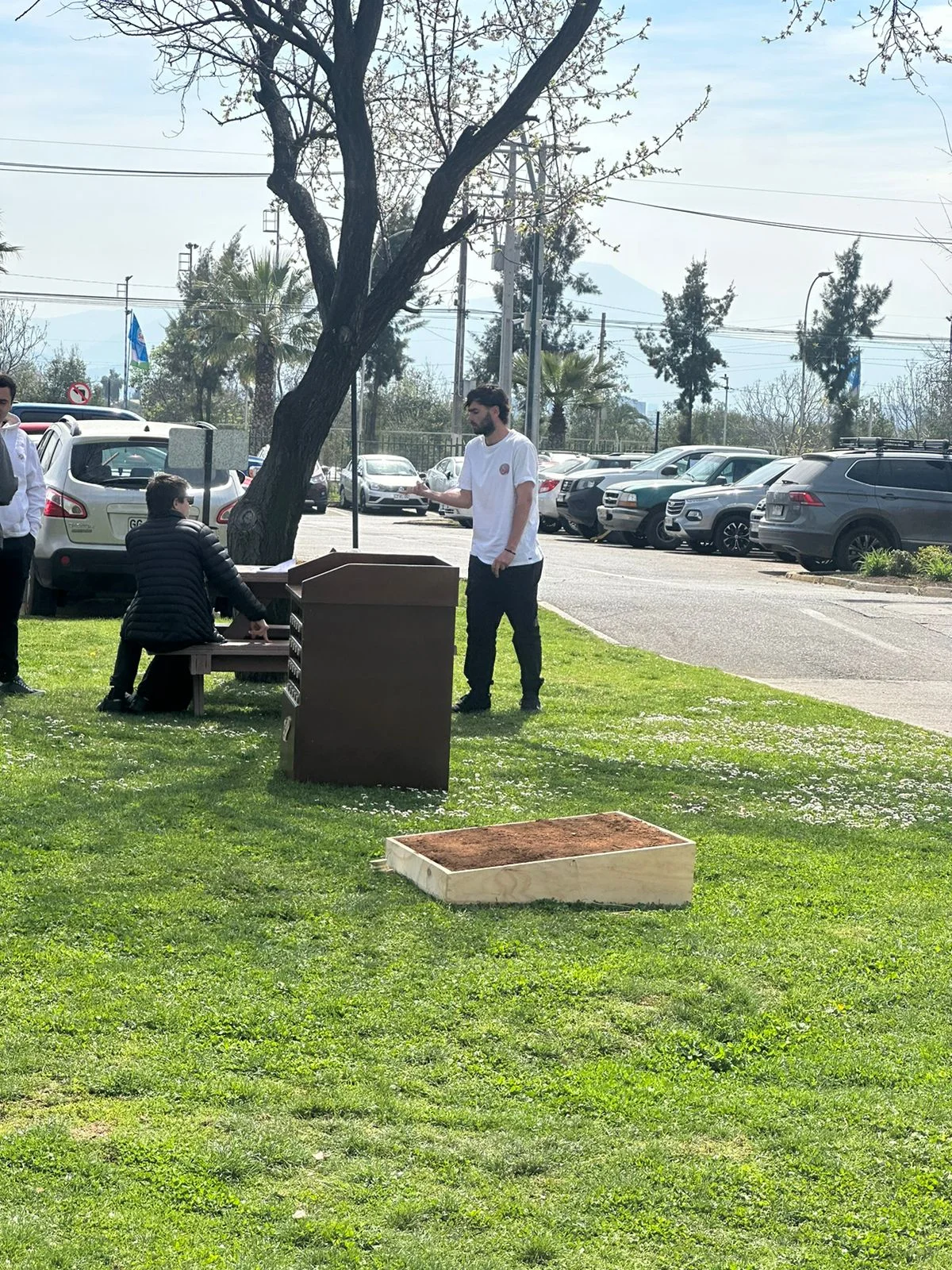 Juego de la Rana - Juego Típico Chileno en Santiago