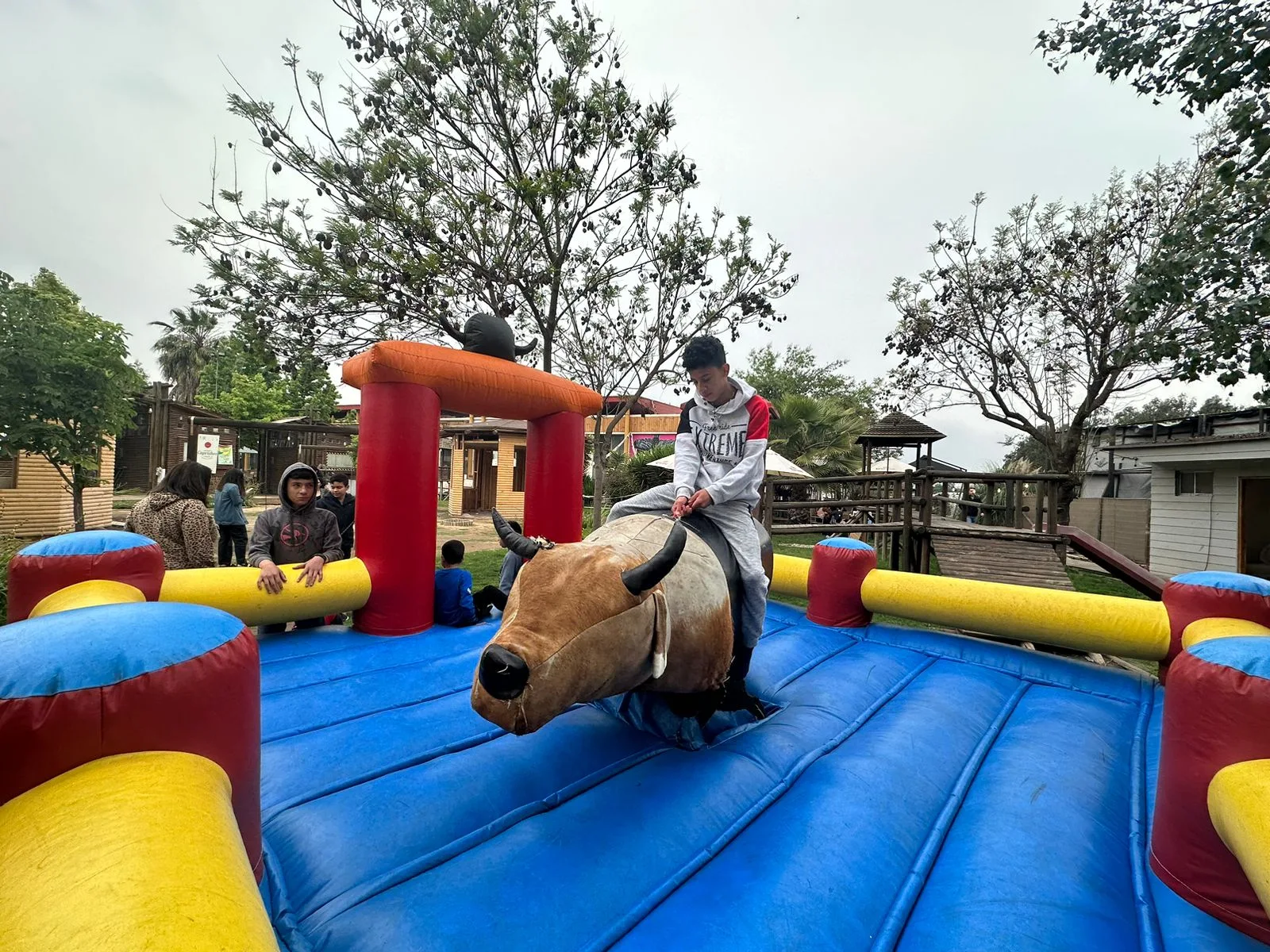 Toro mecánico en Santiago