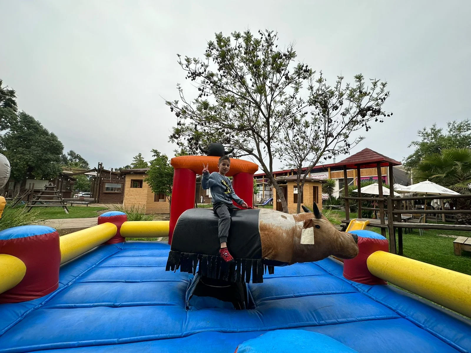 Toro mecánico arriendo Santiago precio $200.000 - Operador incluido, transporte gratis